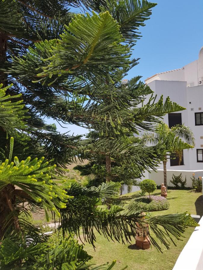 טורוקס Apartamento Lujo Calaceite מראה חיצוני תמונה